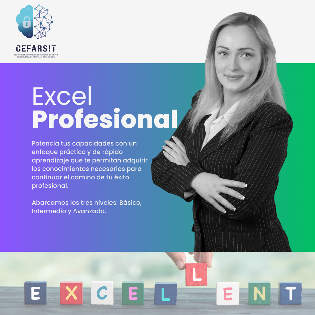 EXCEL PROFESIONAL